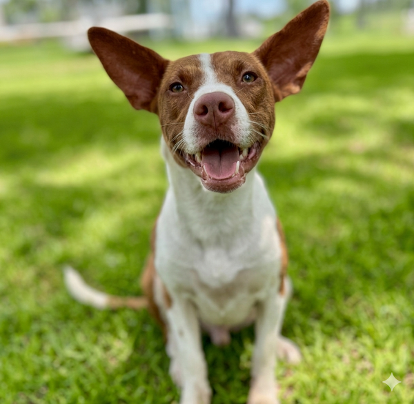 Ethel