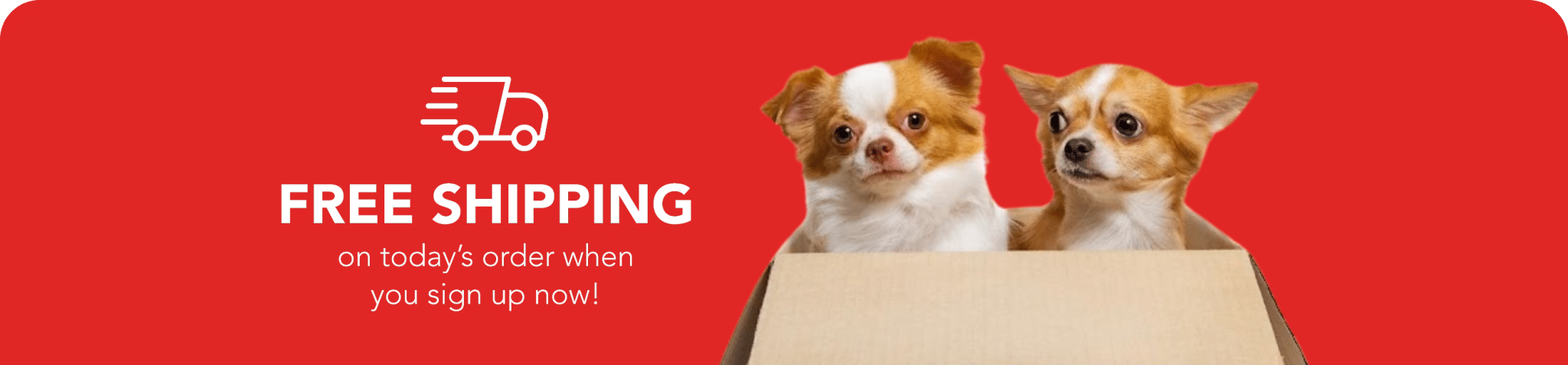 Dogs in box