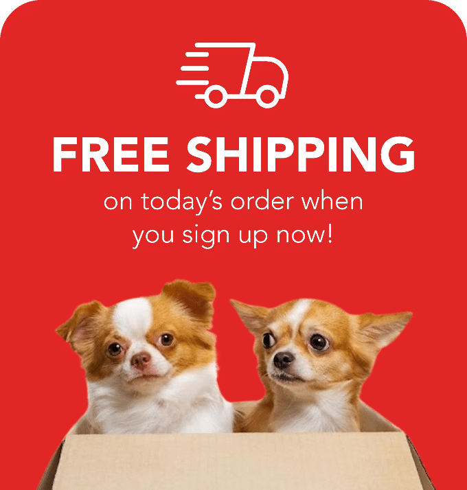 Dogs in box